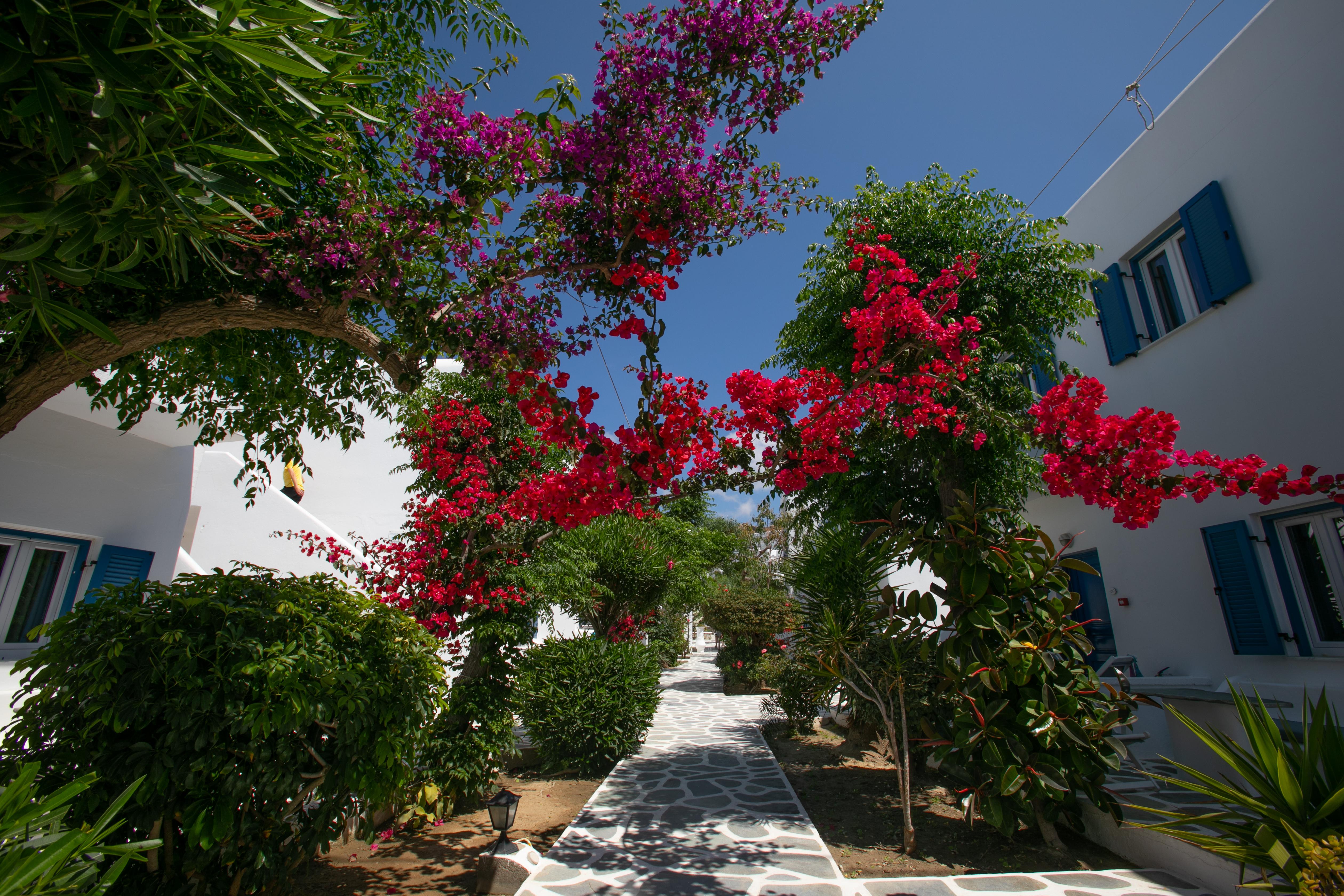 Acrogiali Beachfront Hotel Mykonos Platis Gialos Exterior foto
