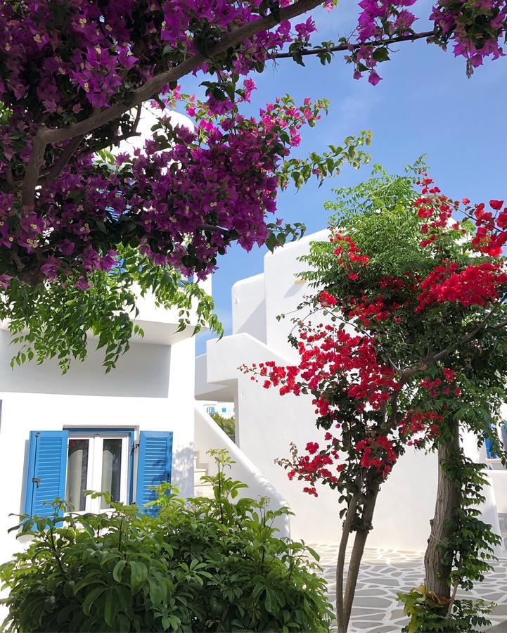 Acrogiali Beachfront Hotel Mykonos Platis Gialos Exterior foto
