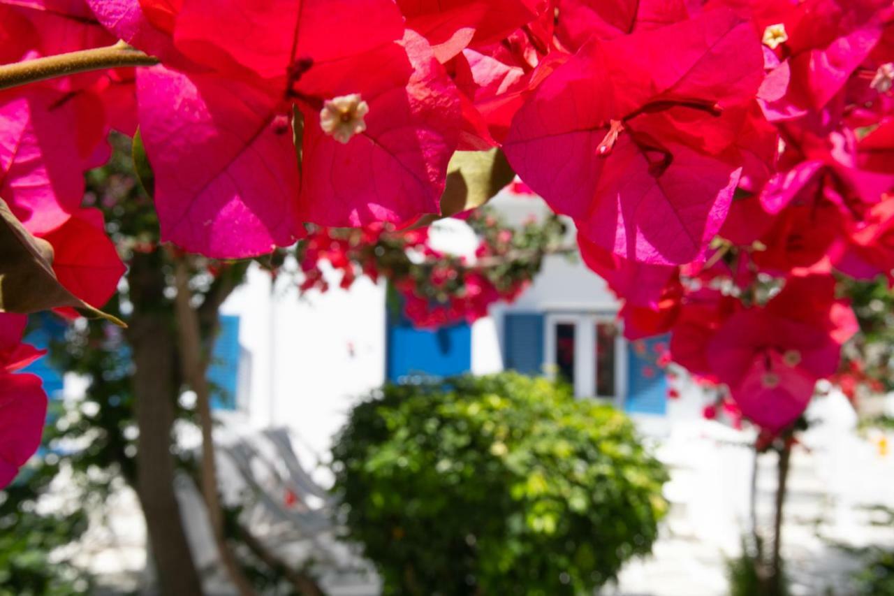 Acrogiali Beachfront Hotel Mykonos Platis Gialos Exterior foto